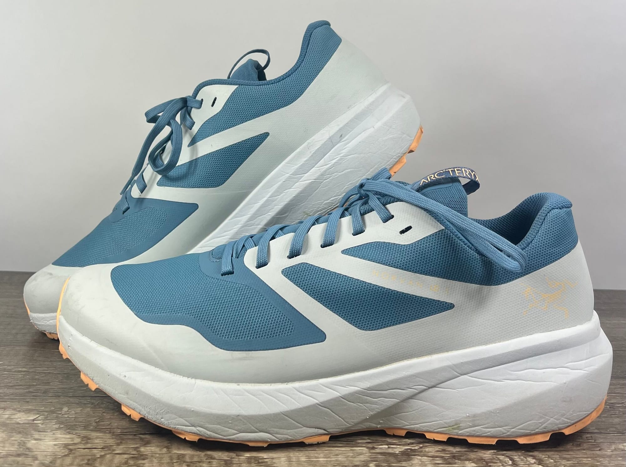 Arc'teryx Norvan LD3