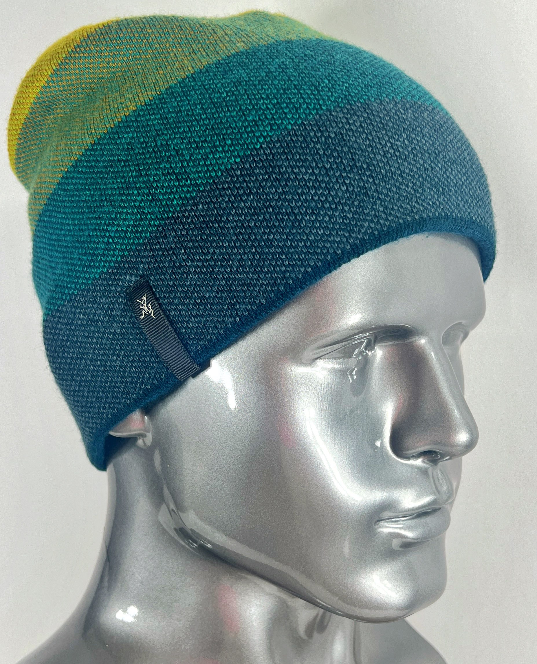 Arc'teryx Charleson Toque