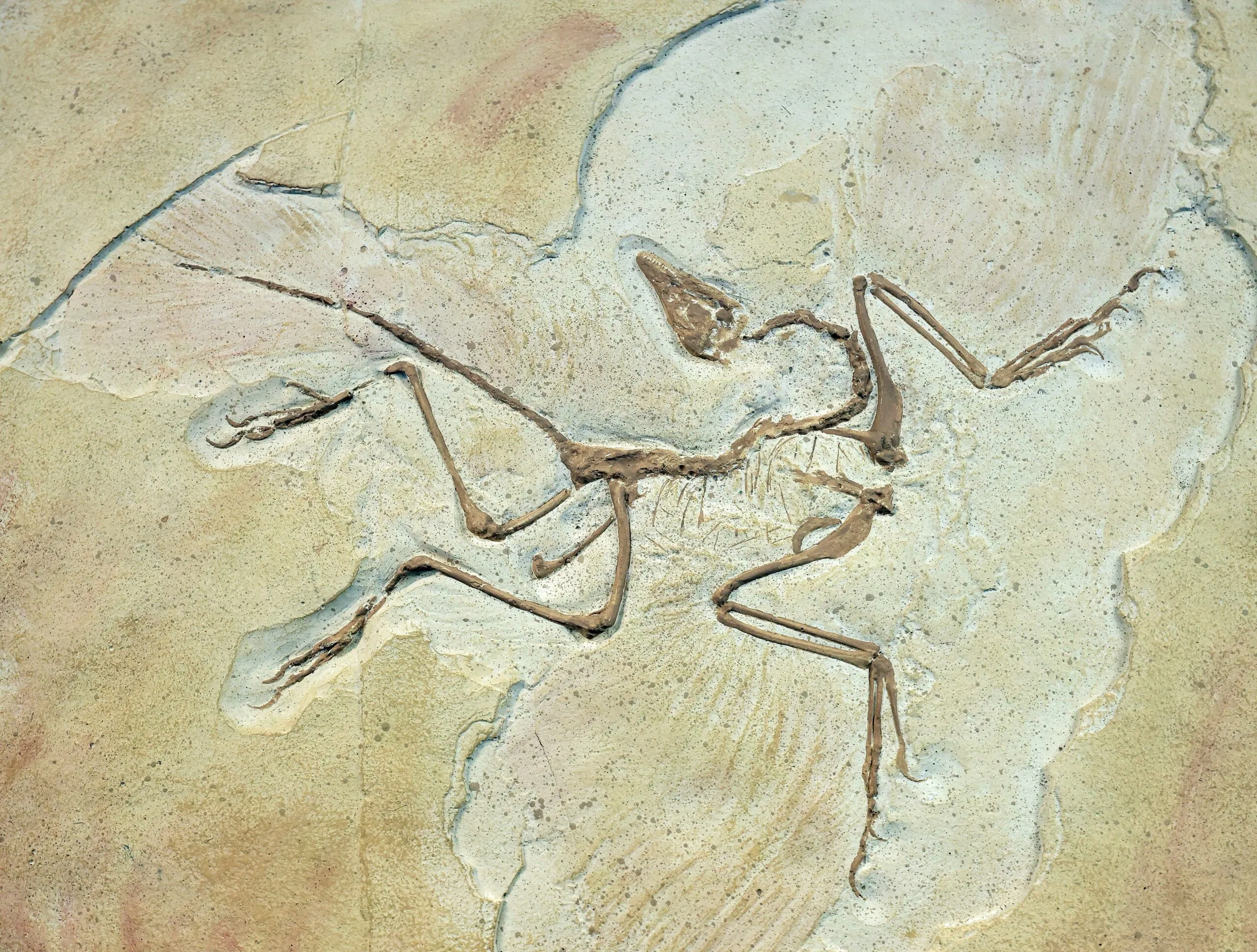 Arc'teryx Arc'Word Logo Shirt